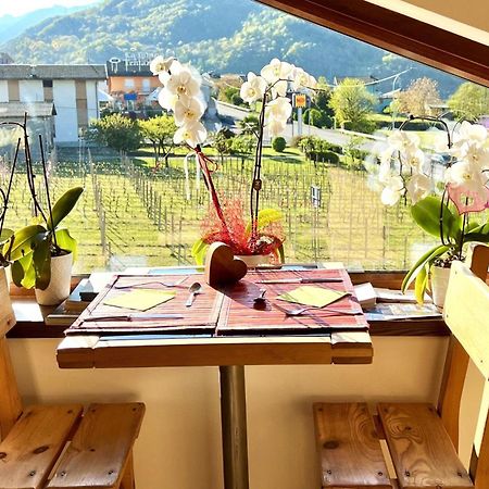 B&B Valtellina Mon Amour Piateda Exterior photo